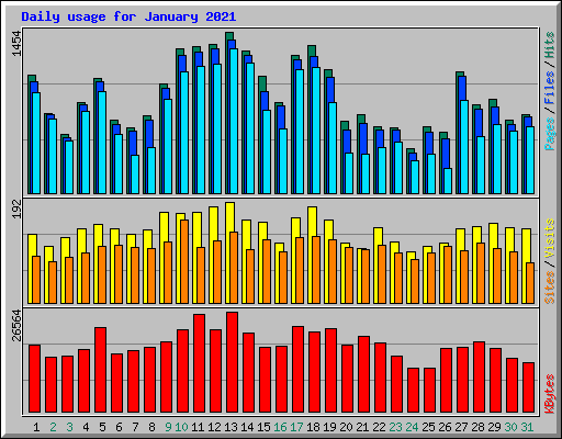 Daily usage for January 2021