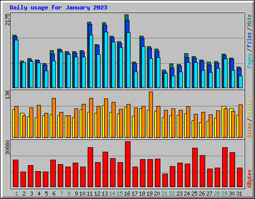 Daily usage for January 2023
