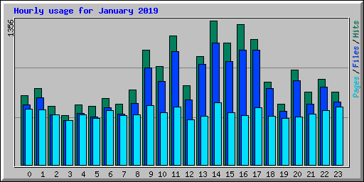 Hourly usage for January 2019