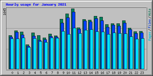 Hourly usage for January 2021