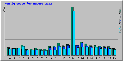 Hourly usage for August 2022